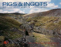 Pigs & Ingots Book Cover